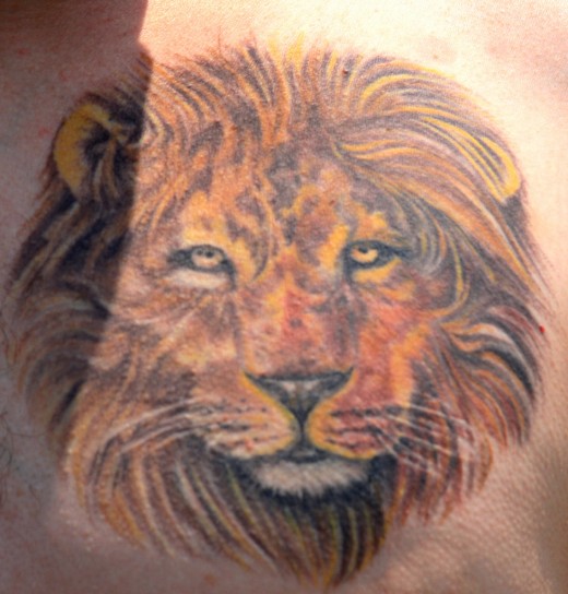 Latest Lion Tattoo Design