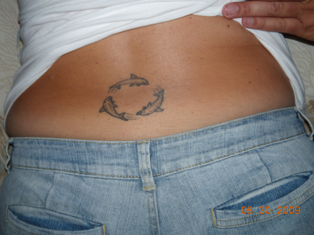 http://www.yusrablog.com/wp-content/uploads/2010/12/Dolphin-Tattoo-for-Girls-Back.jpg