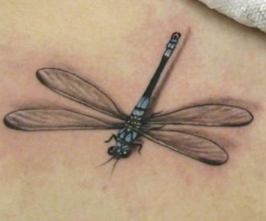 Dragonfly+tattoo+pics