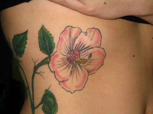 hibiskus tattoo. Hibiscus Tattoo Design