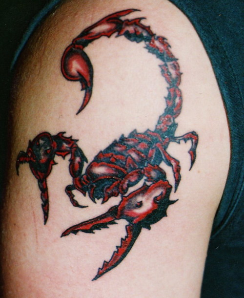 tattoos with meaning, tattoos for men, pictures of tattoos, tattoo shop, girls with tattoos, tattoo design ideas, ideas for tattoos tattoos designs for girls on arm. You are here: Home � Awesome Scorpion Tattoo Design on Arm for Girls