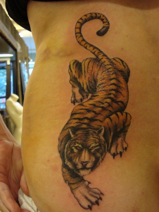tiger tattoos on calf. Women Back Tiger Tattoo Design