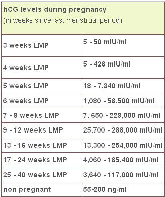 What is hcg used for