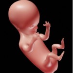Six Weeks Pregnant: Information About Baby Development