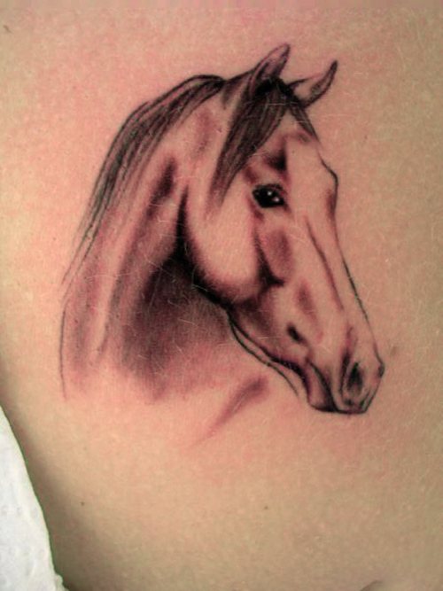 Girls Horse Tattoo Designs For 2011