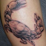 Cancer Tattoos & Designs: Tattoo Art