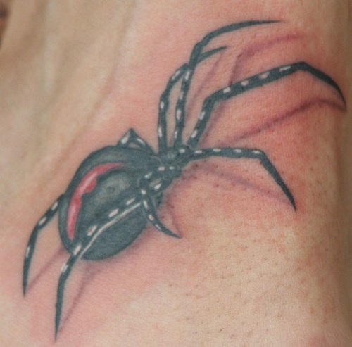 Girls Spider Tattoo Designs For 2011