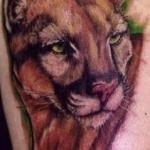 Animal Tattoos and Their Meanings