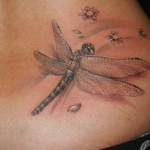Dragonfly Tattoo Meanings: Dragonfly Body Art