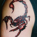 Scorpio Tattoo Meanings: Real Body Art