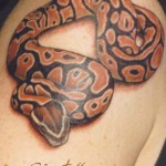 Are You Know Snake Tattoo Meanings