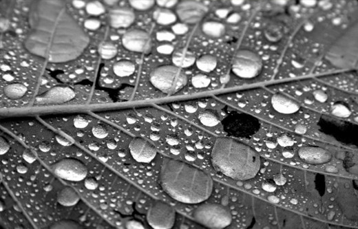 Shooting the Perfect Water Droplet